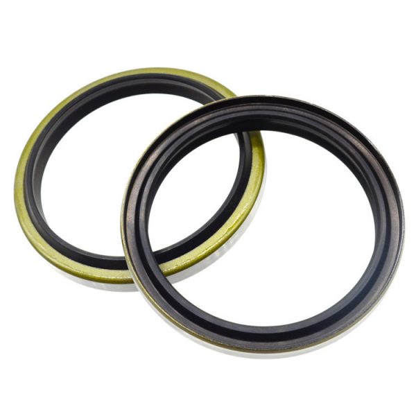 hydraulic Wiper seals DKB