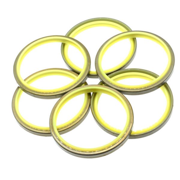 hydraulic Wiper seals DKBI
