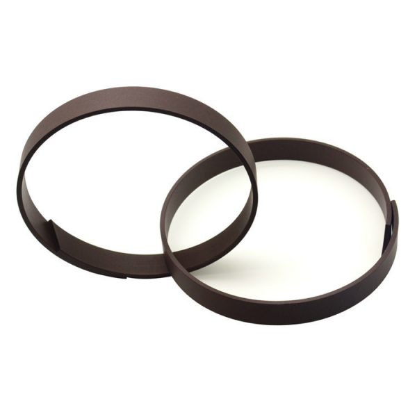hydraulic Bearing guidance seals RYT