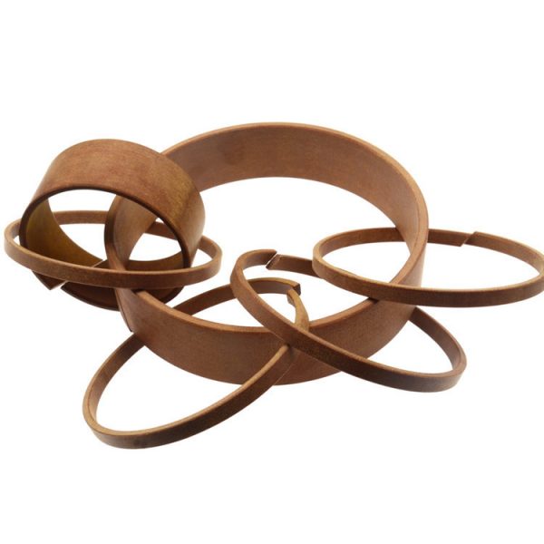 hydraulic Bearing guidance seals wearing ring