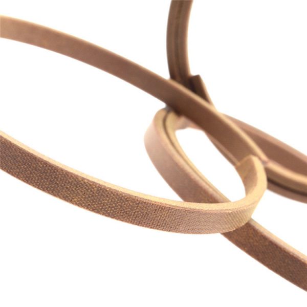 hydraulic Bearing guidance seals wearing ring